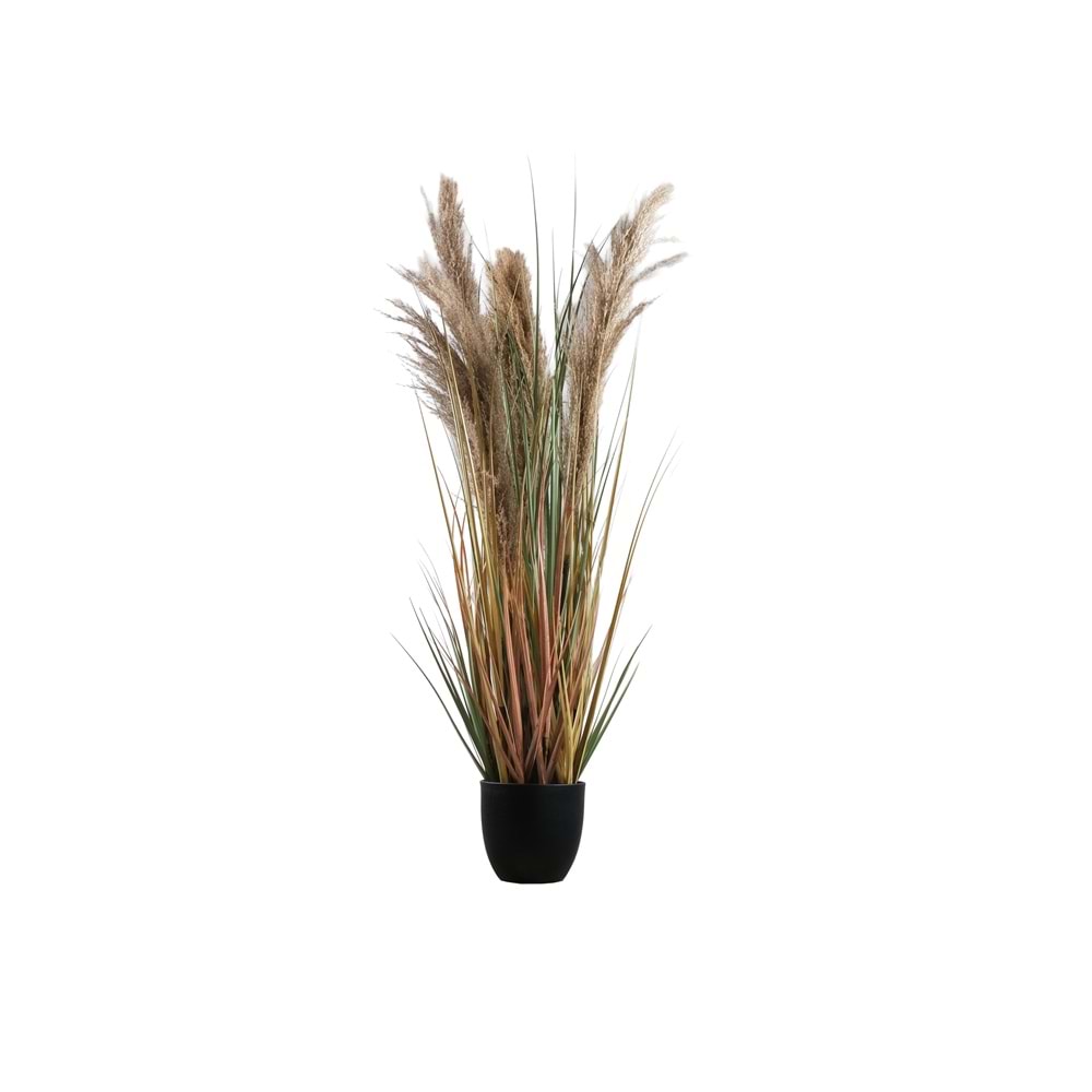 110 CM PAMPAS