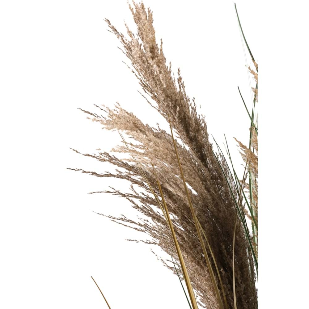 110 CM PAMPAS