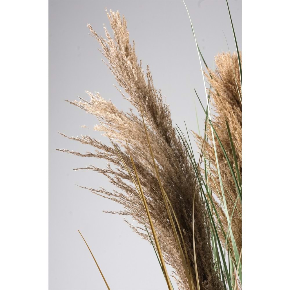 110 CM PAMPAS