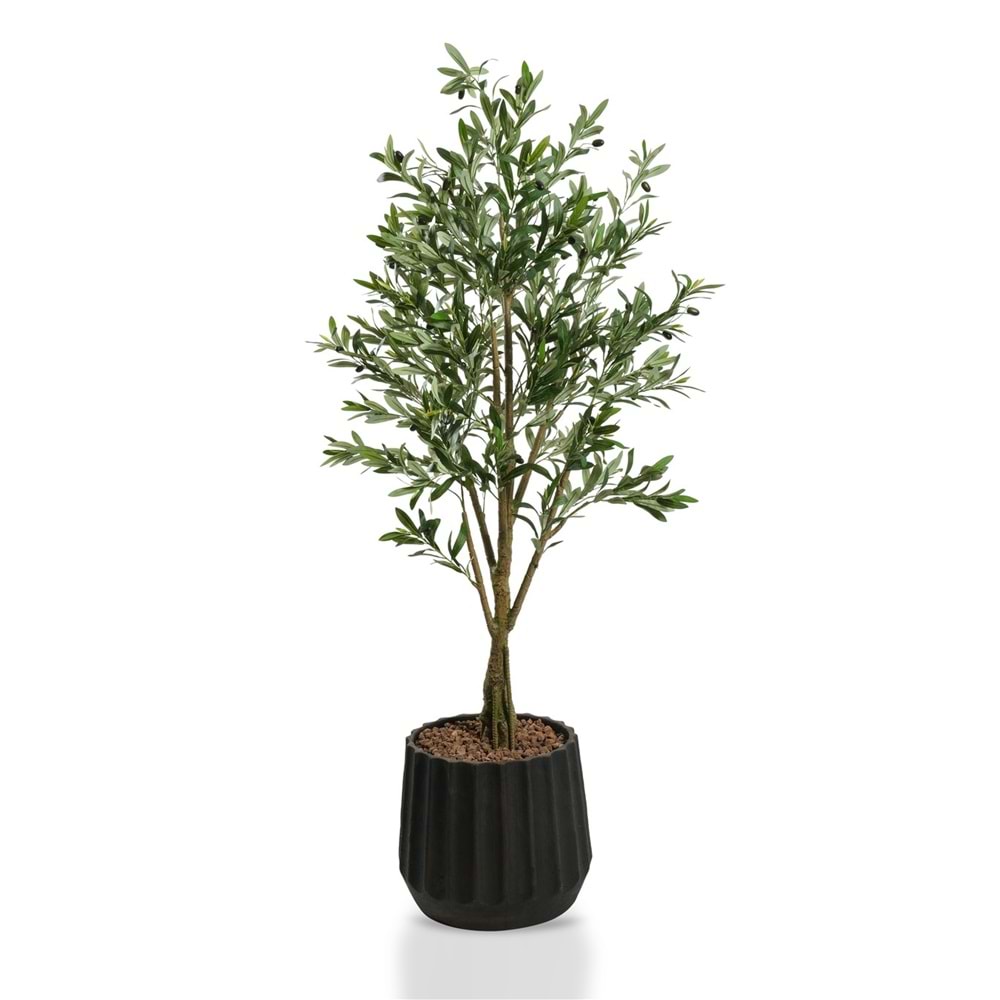160 CM ZEYTİN AĞACI