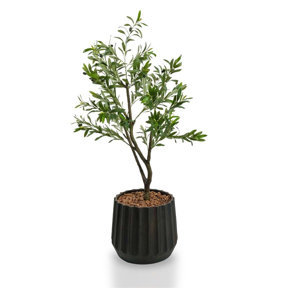 120 CM ZEYTİN AĞACI