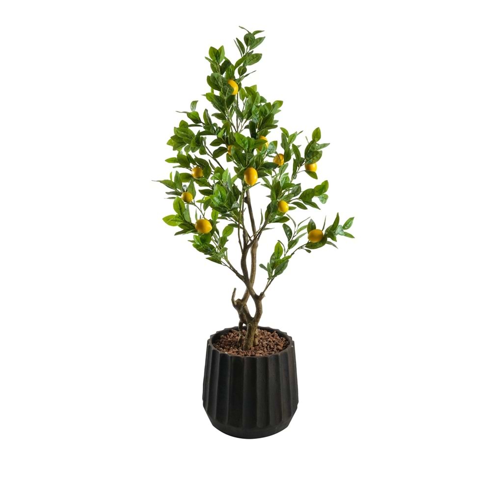 140 CM LİMON AĞACI