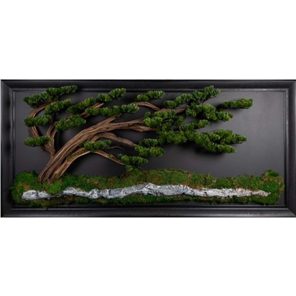 89*194 BONSAI PANO