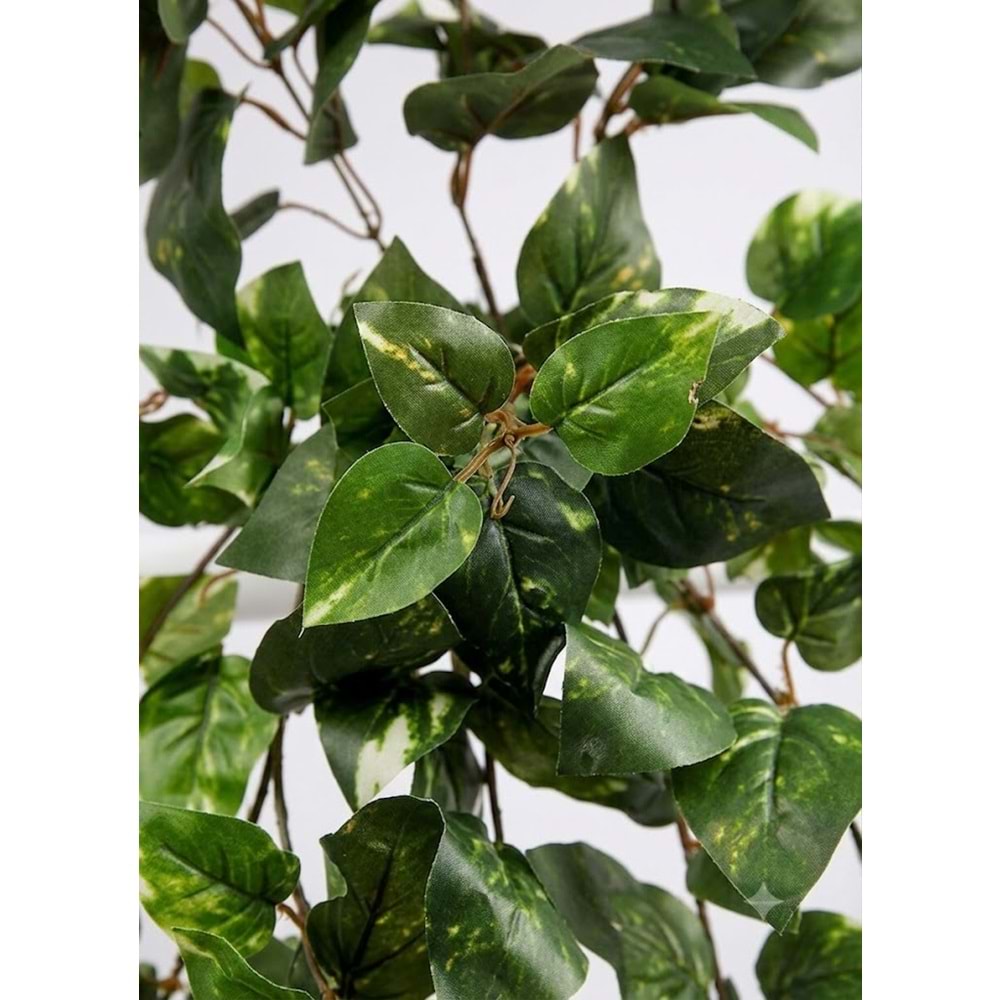 80 CM SARKAN PHOTOS