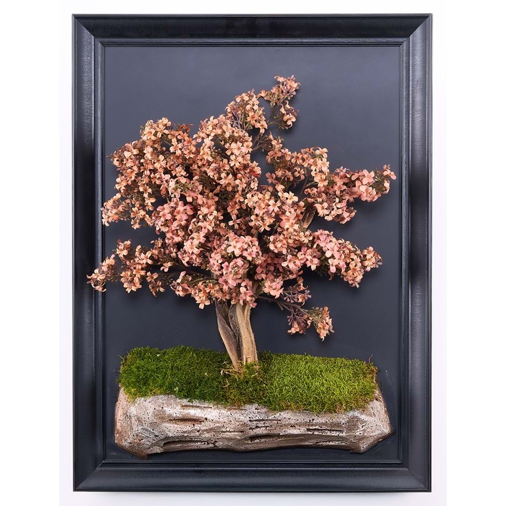 50*70 CM BONSAI TABLO