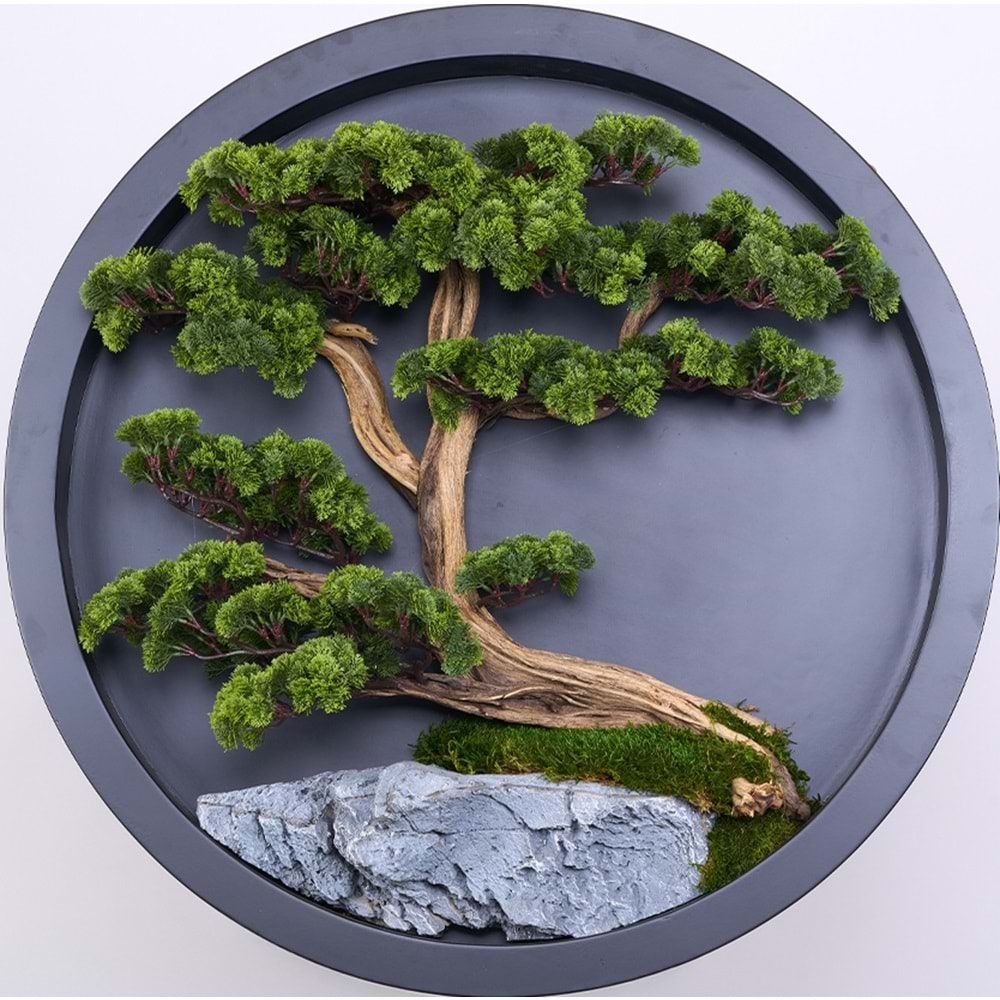90 CM BONSAI PANO