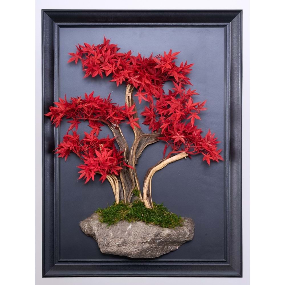 50*70 CM BONSAI TABLO