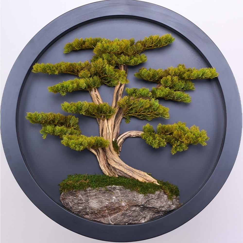 90 CM BONSAI TABLO