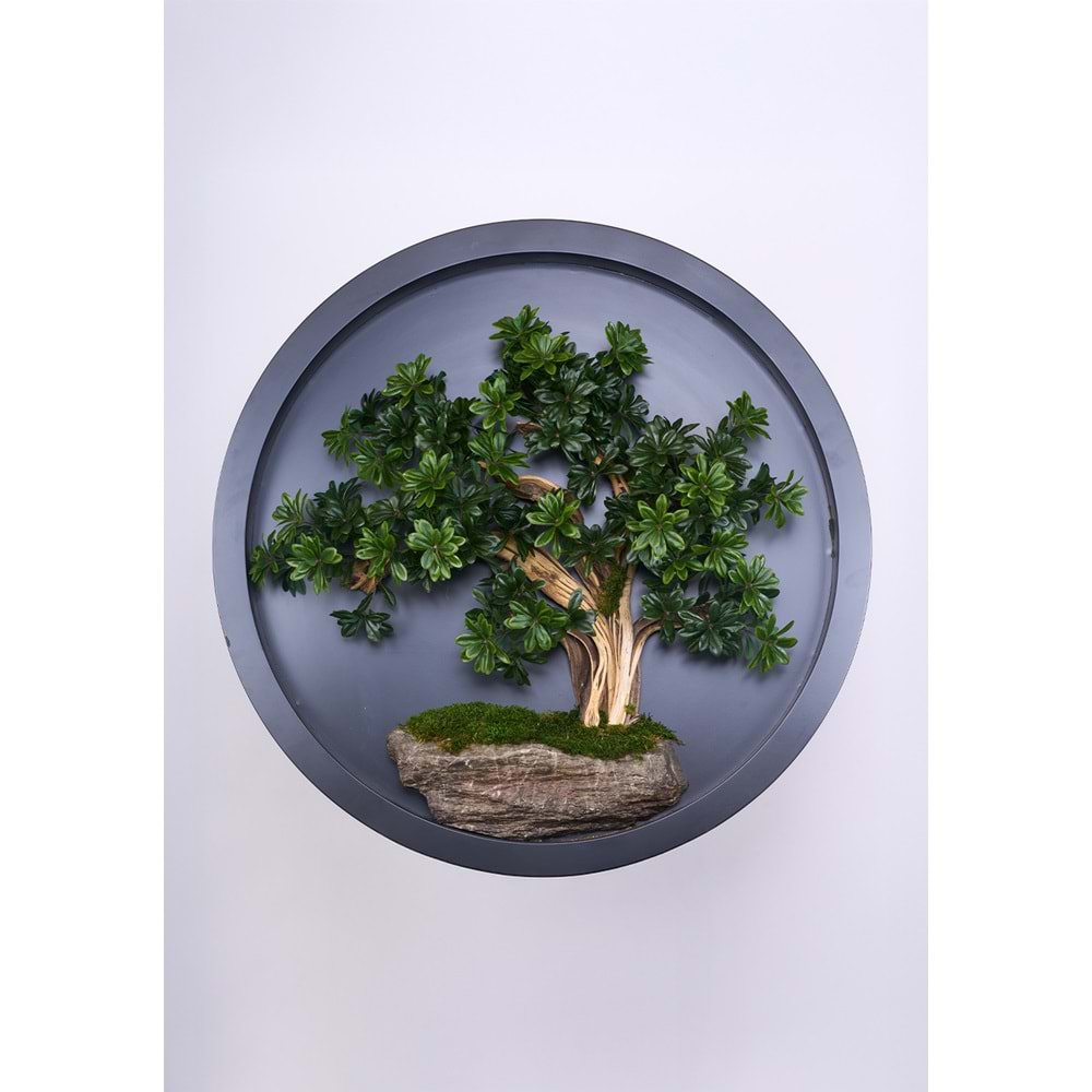 110 CM BONSAI PANO