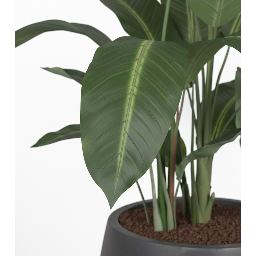 140 CM STARLİÇE ÇİÇEKLİ