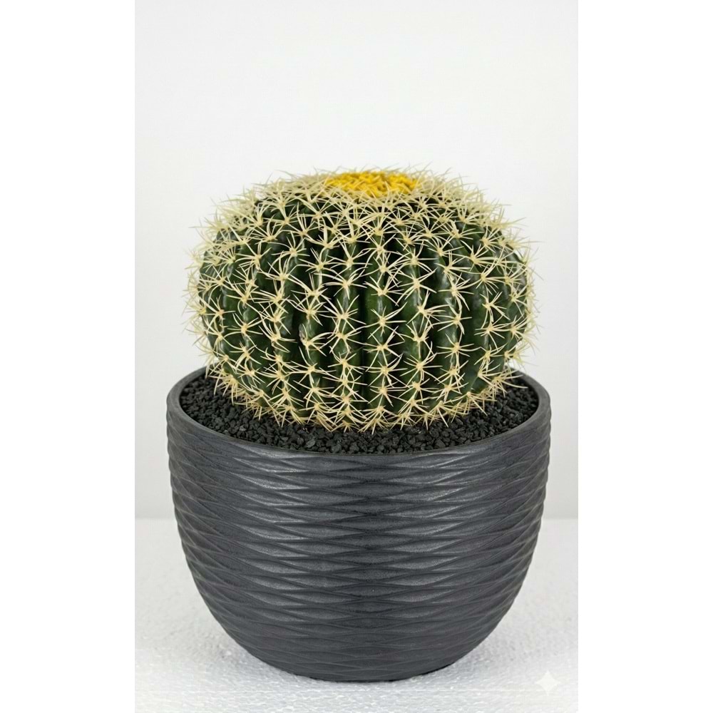 28 CM TOP KAKTUS