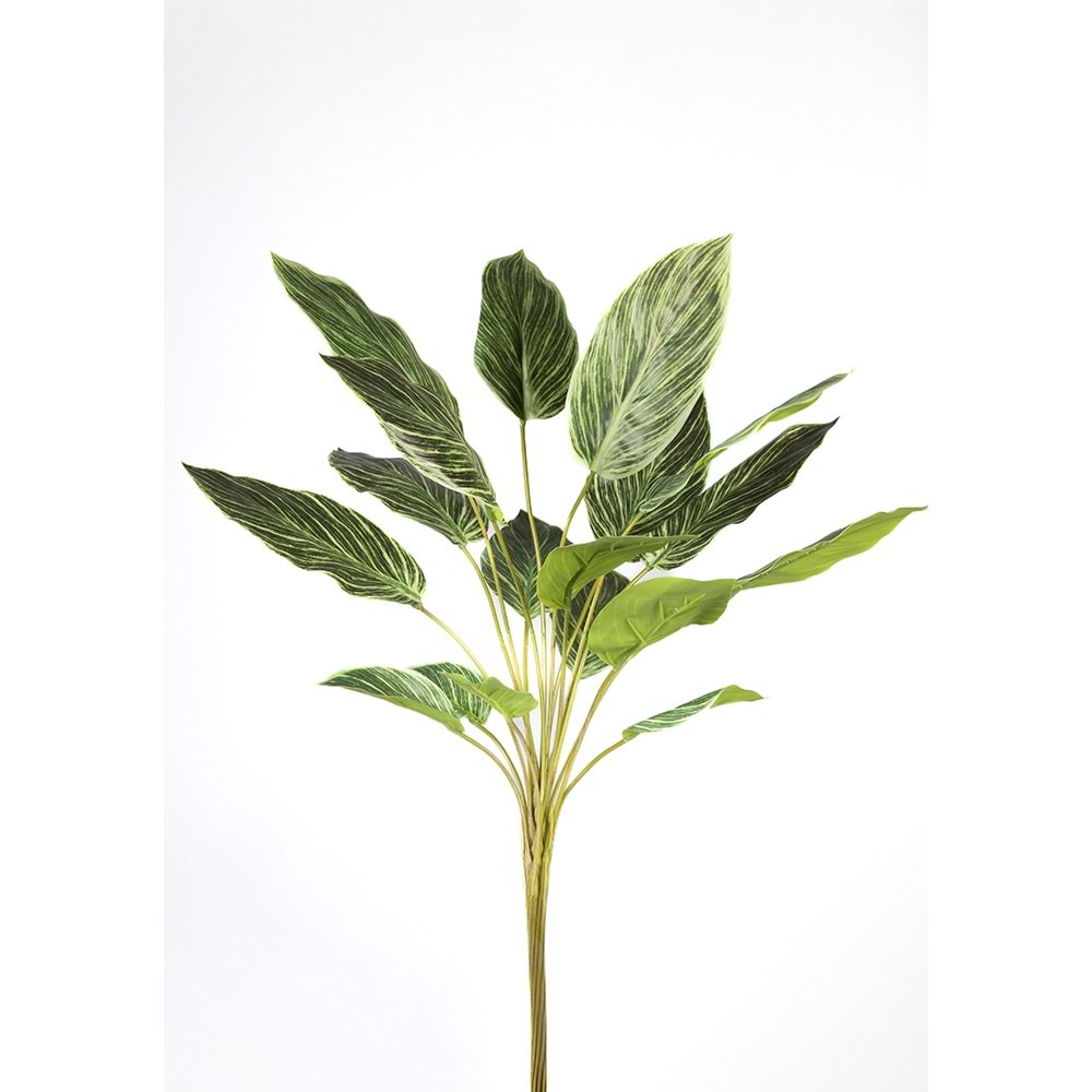 60 CM DUA ÇİÇEĞİ