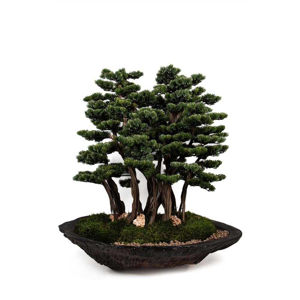 130 CM SAKSILI AĞAÇ BONSAI