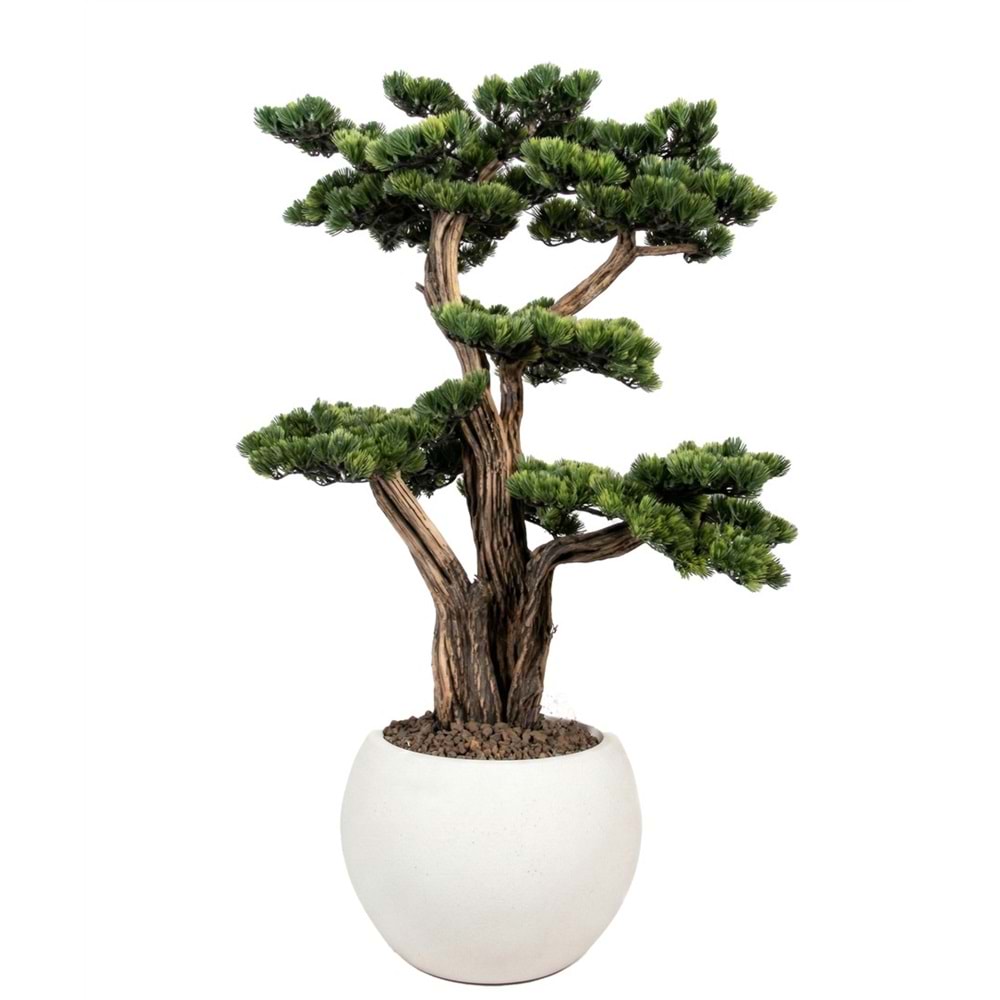 120 CM SAKSILI AĞAÇ BONSAI