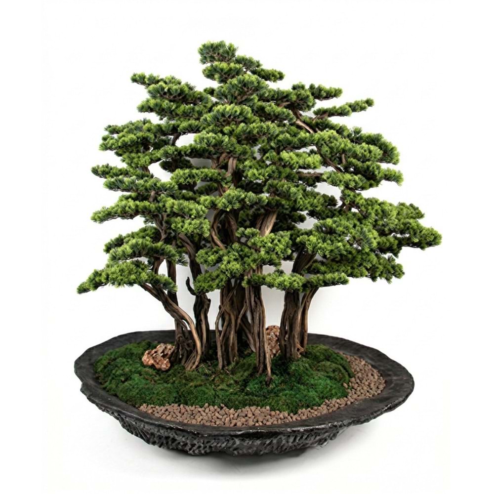 BONSAI AĞAÇ 120*125