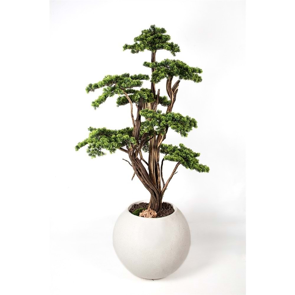 190 CM SAKSILI BONSAI AĞAÇ