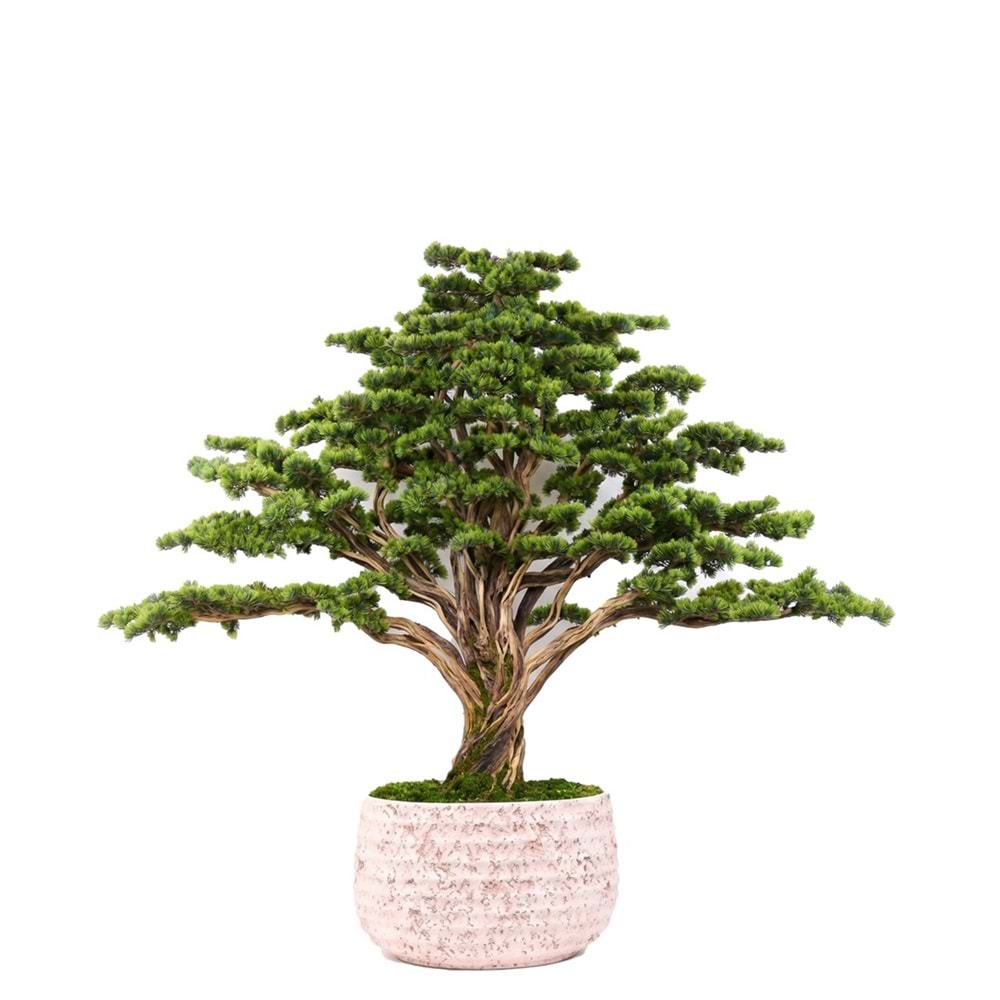 BONSAI HAYAT AĞACI 170*200