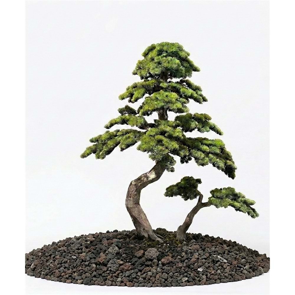 200 CM BONSAI