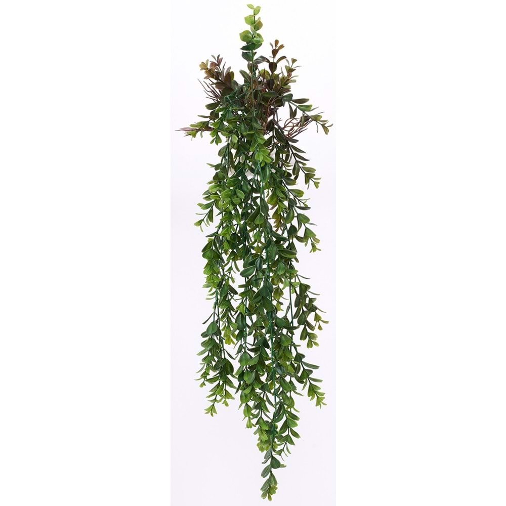 85 CM SARKAN BİTKİ