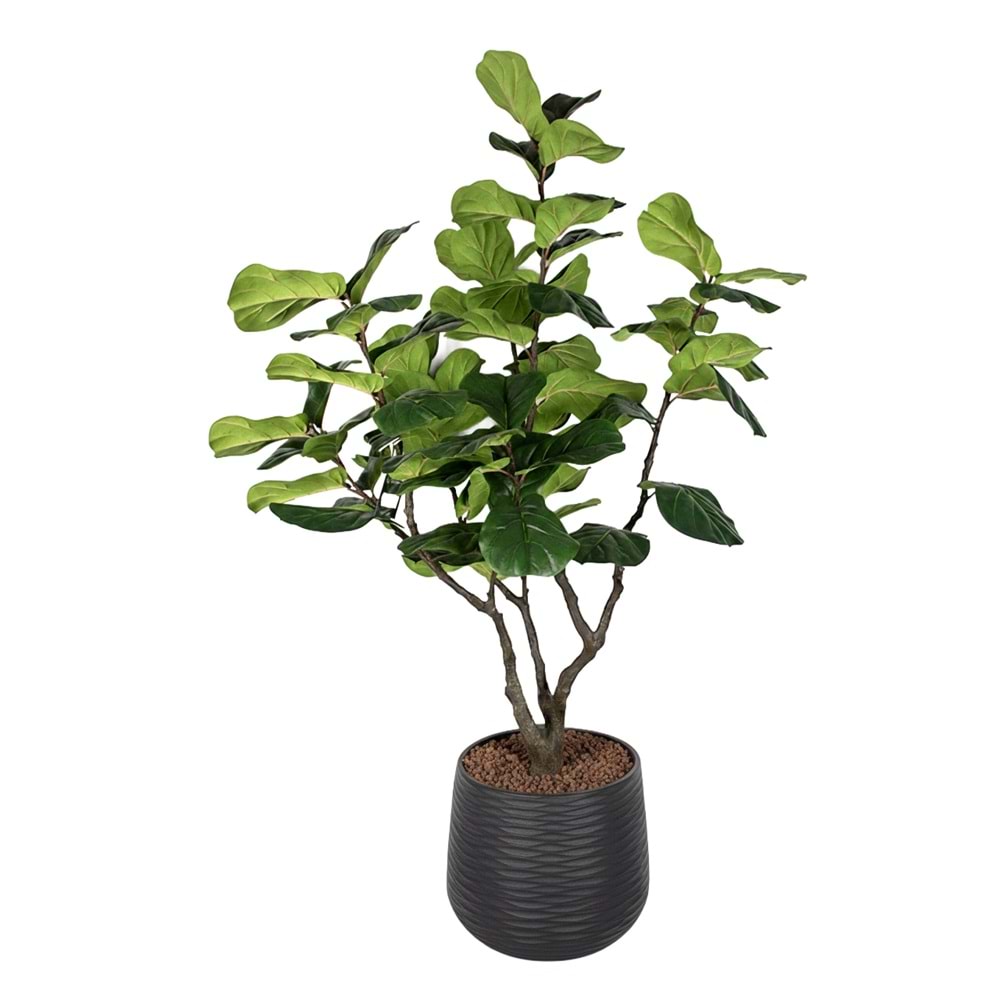 230 CM MANOLYA AĞACI