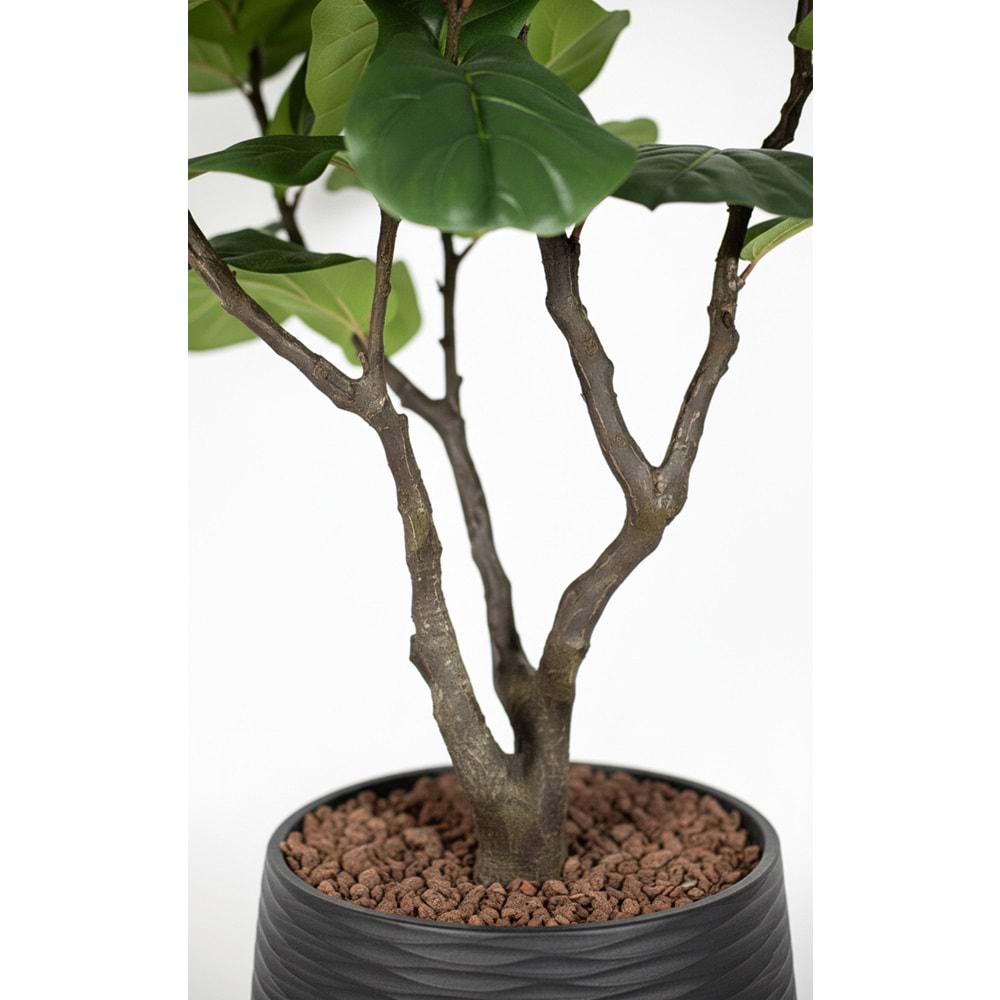 230 CM MANOLYA AĞACI