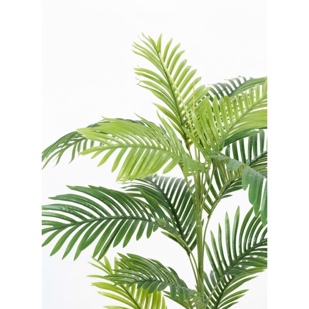150 CM AREKA PALM