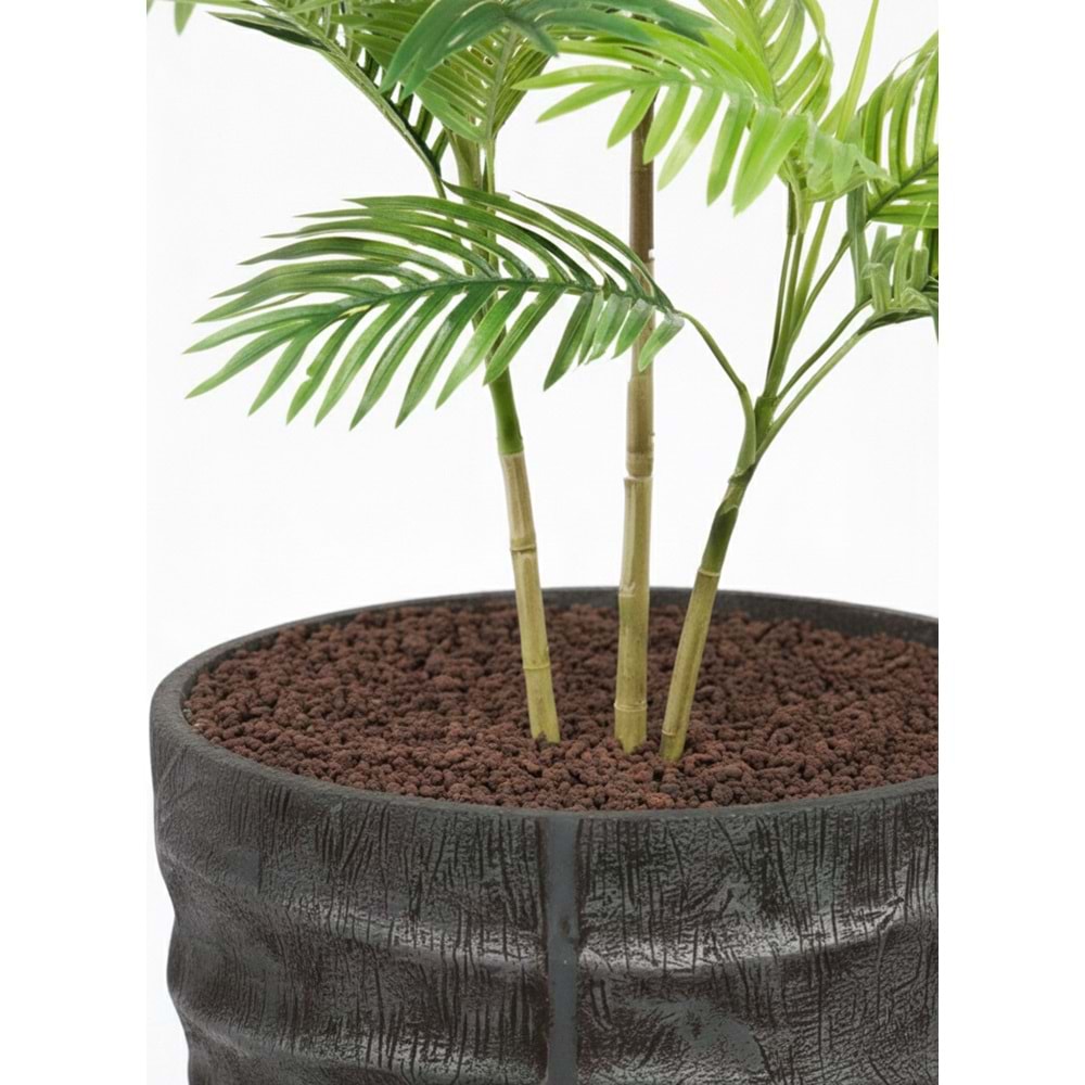 150 CM AREKA PALM