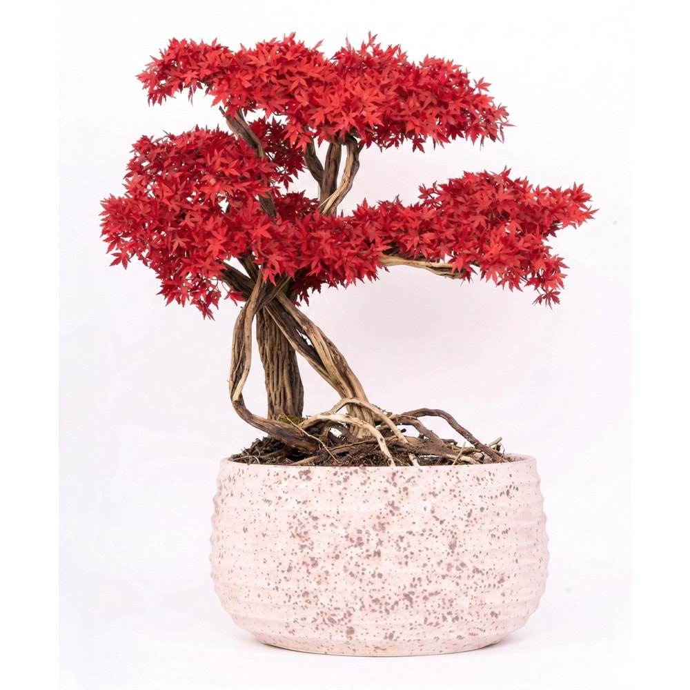 130 CM SAKSILI AĞAÇ BONSAI