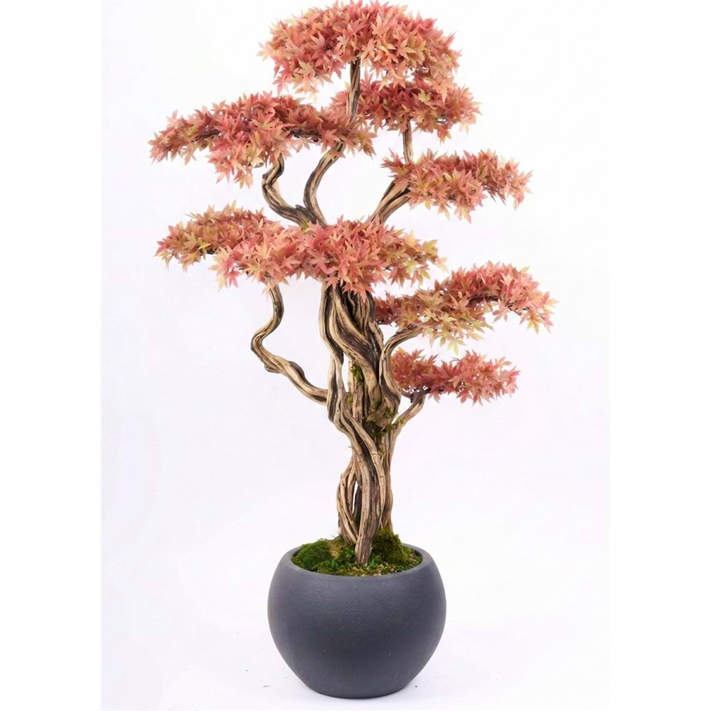 160 CM SAKSILI AĞAÇ BONSAI