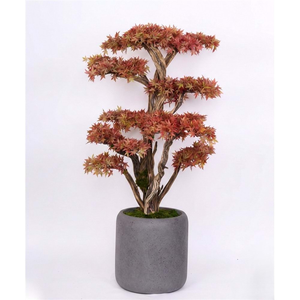 160 CM SAKSILI AĞAÇ BONSAI