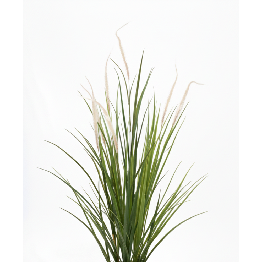 120 CM SAZLIK