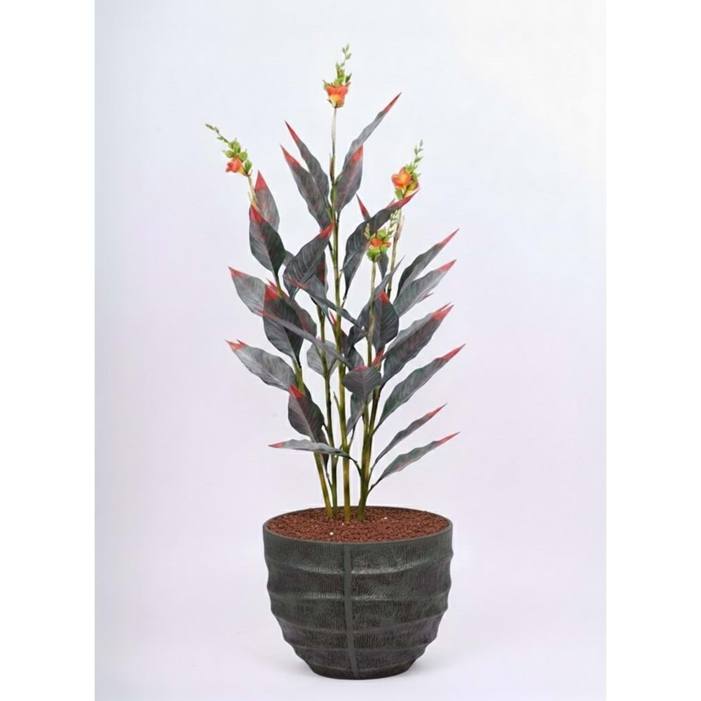 155 CM CANA BİTKİSİ TURUNCU