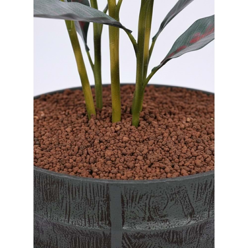 155 CM CANA BİTKİSİ TURUNCU