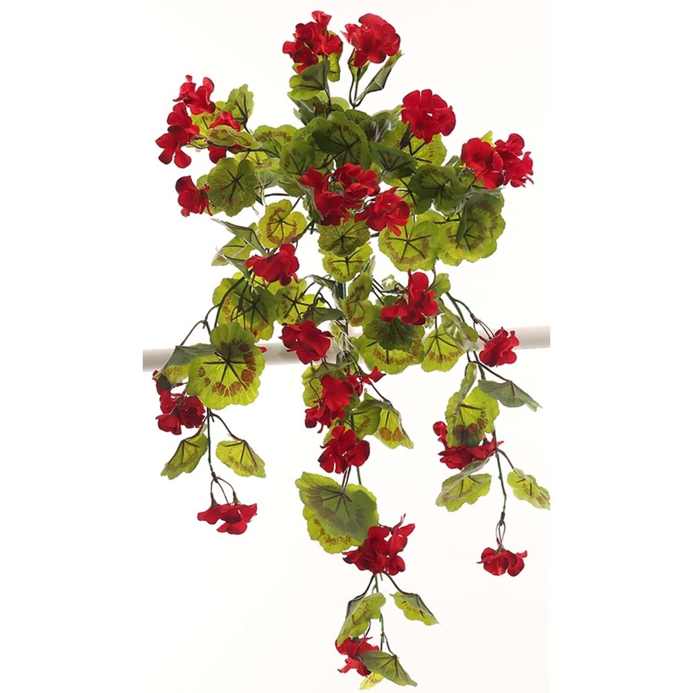 GERANIUM HANGING VINE RED