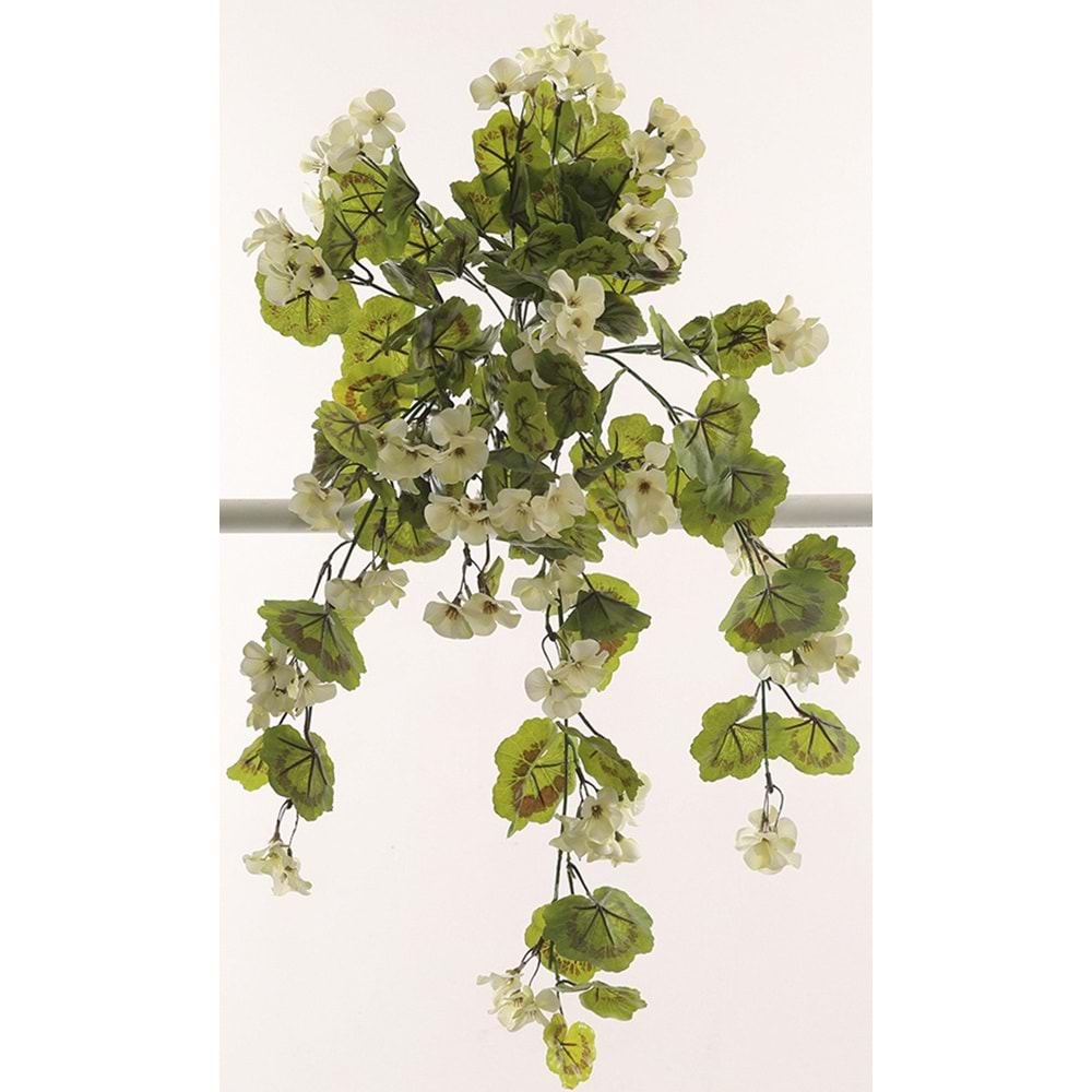 GERANIUM HANGING VINE WHITE
