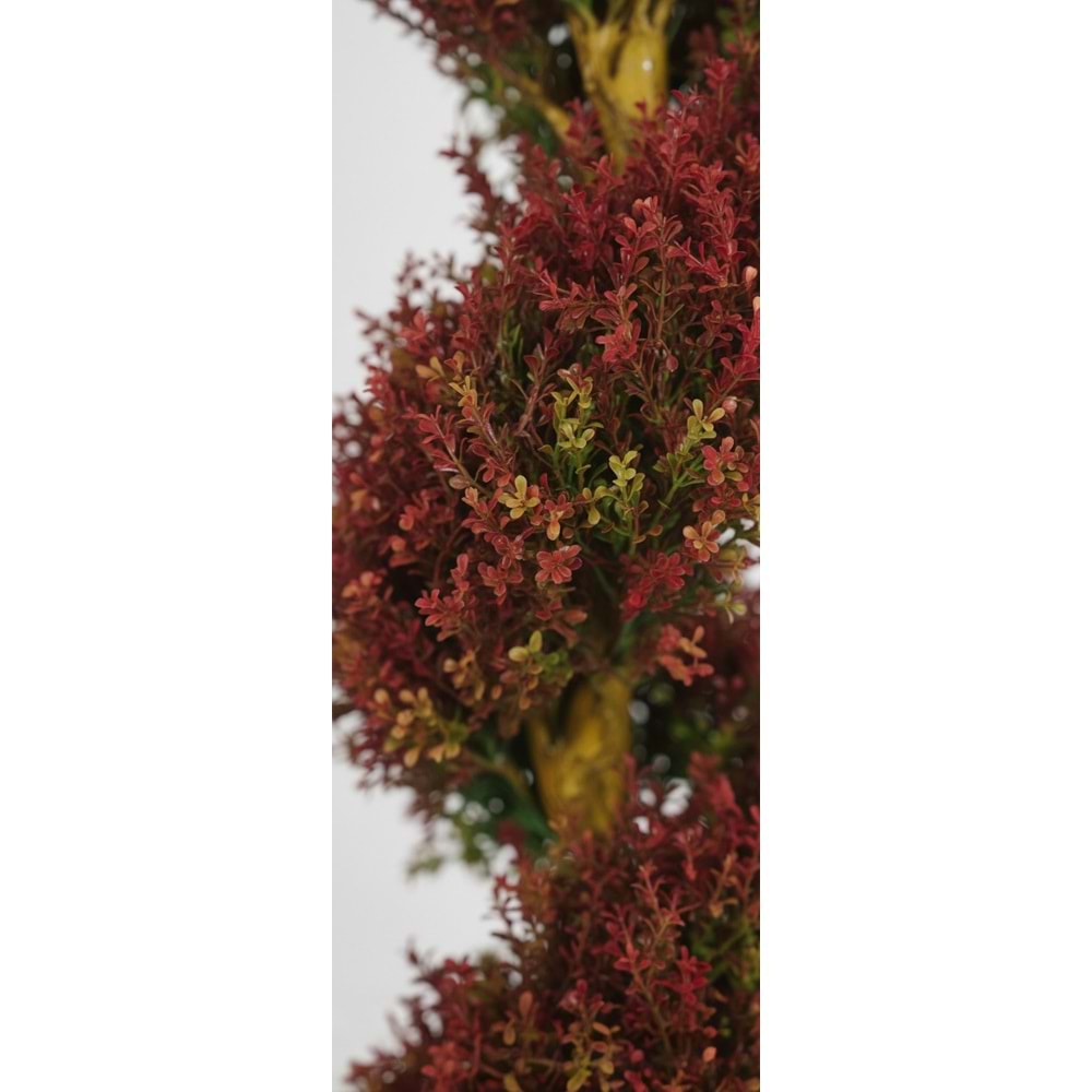 167 CM SPIRAL FERN TREE