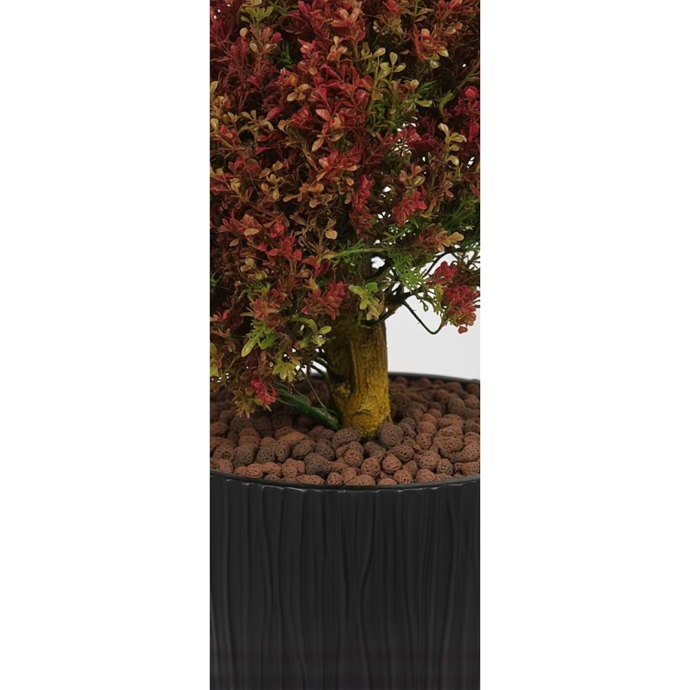 167 CM SPIRAL FERN TREE