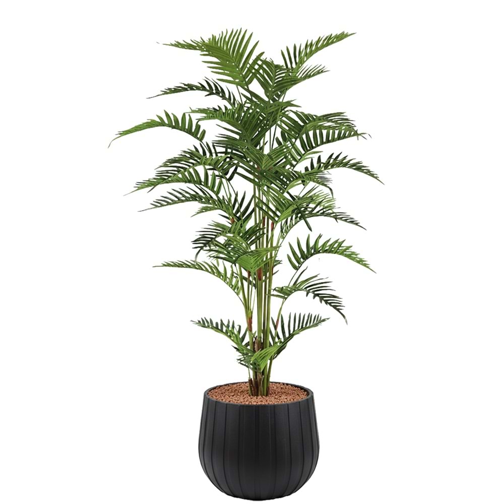 150 CM FERN PALM