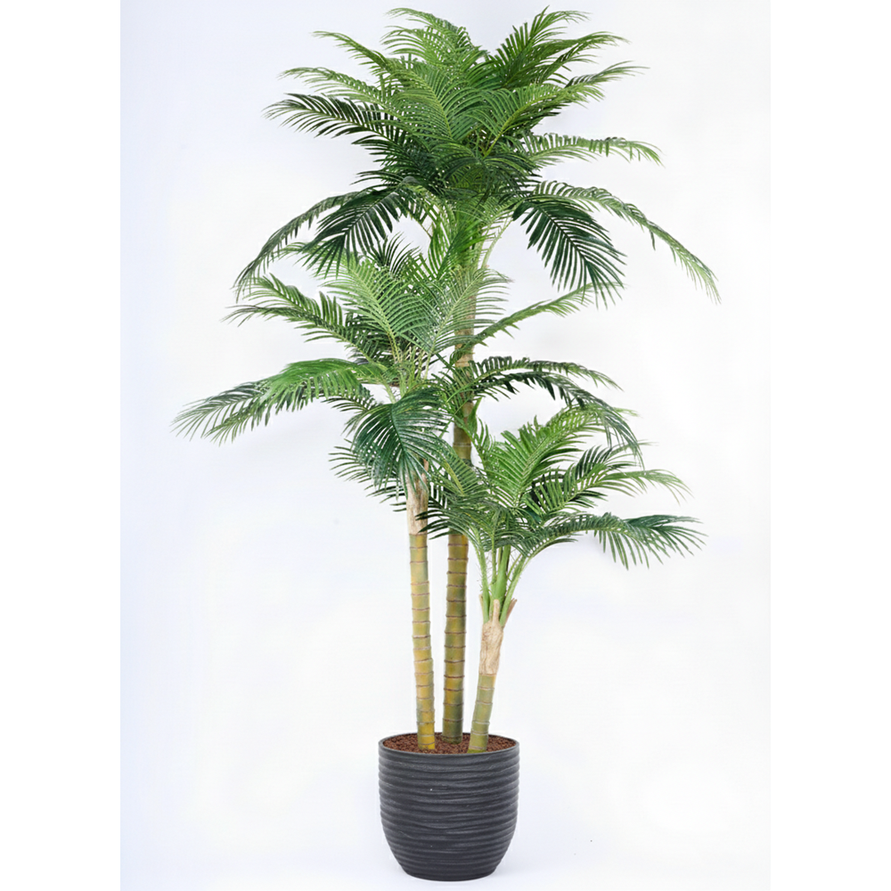 300 CM PHOENIX PALMİYE 3'LÜ