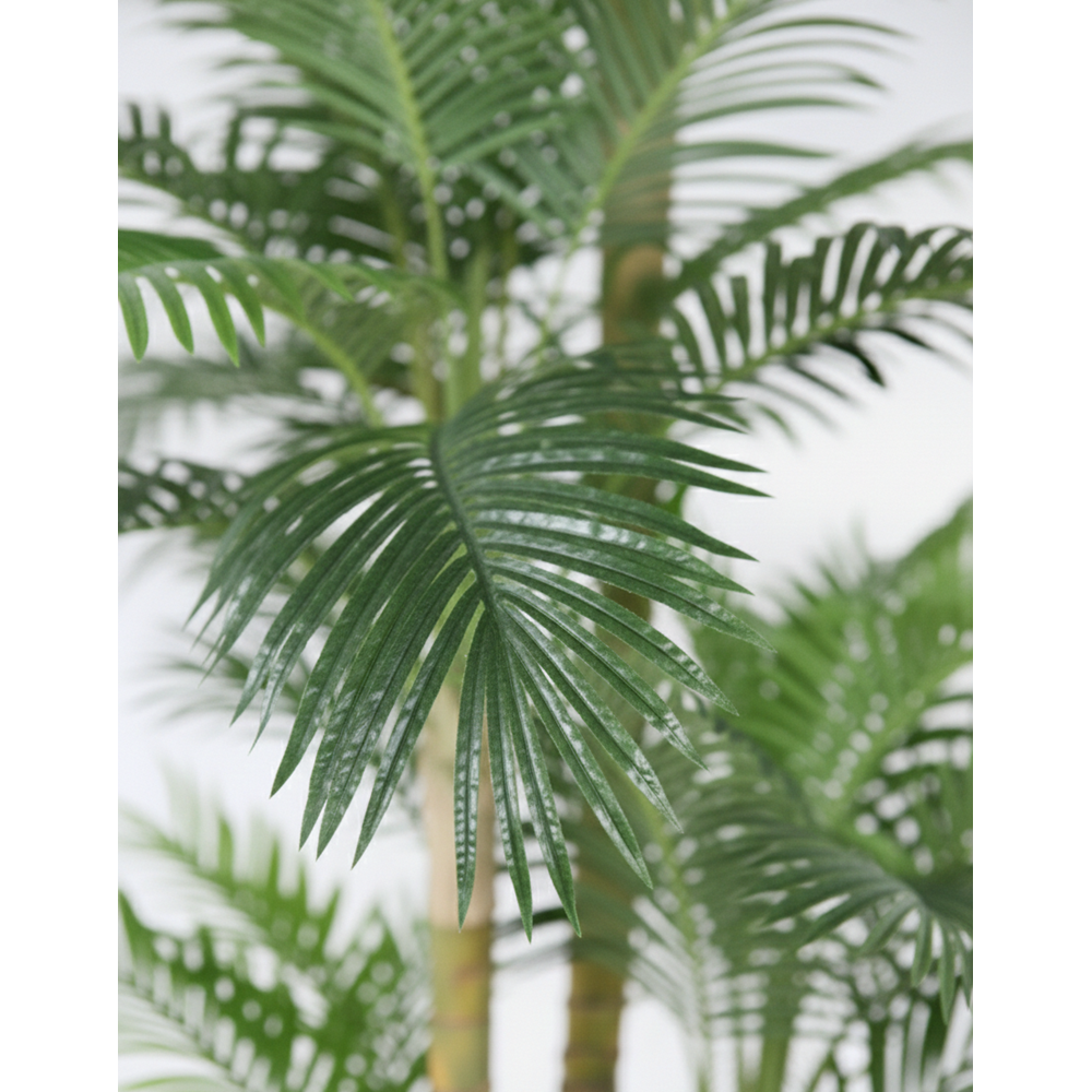 300 CM PHOENIX PALMİYE 3'LÜ