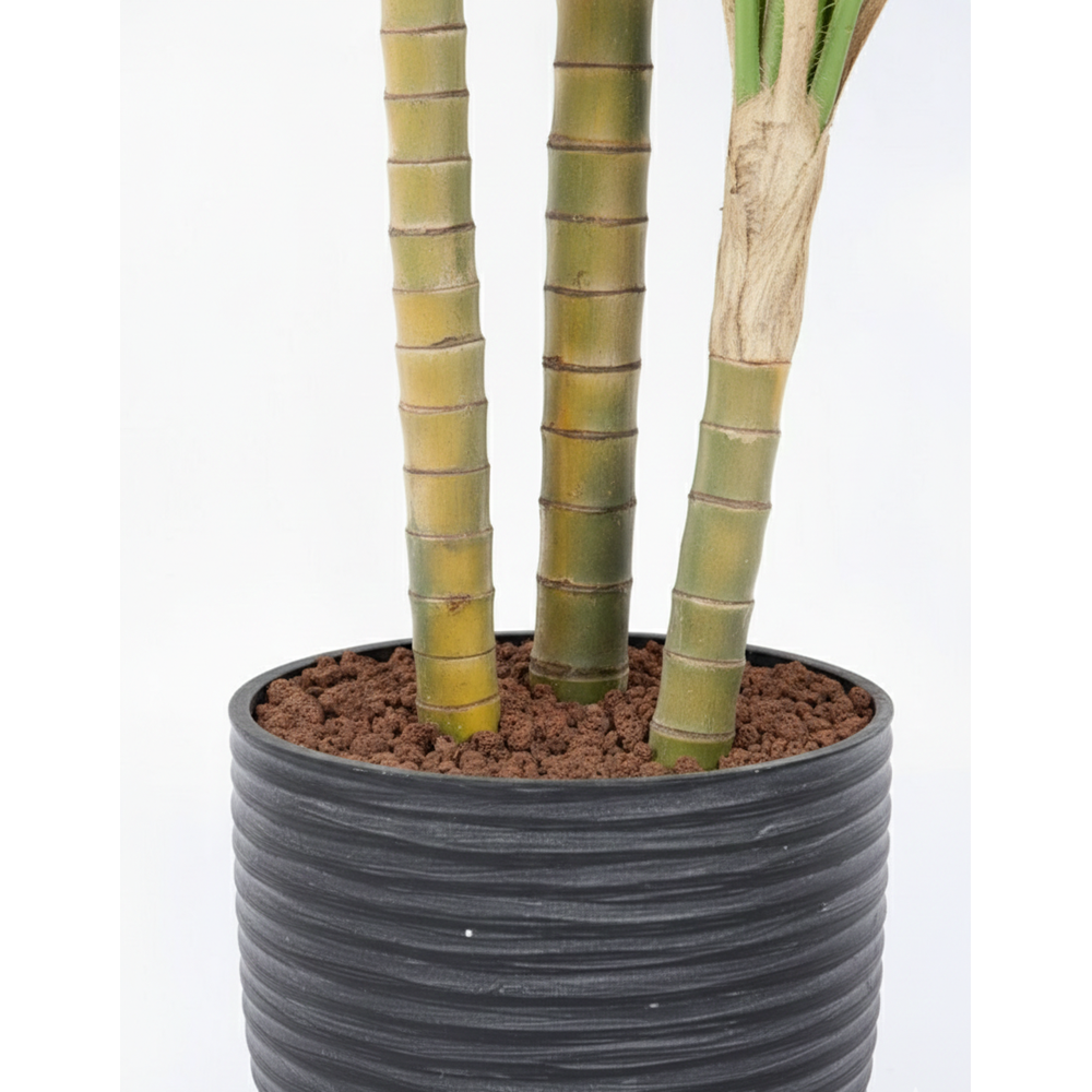 300 CM PHOENIX PALMİYE 3'LÜ