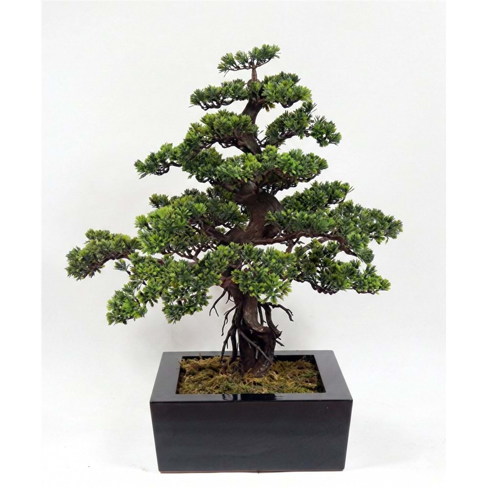 BONSAI 60*85 CM