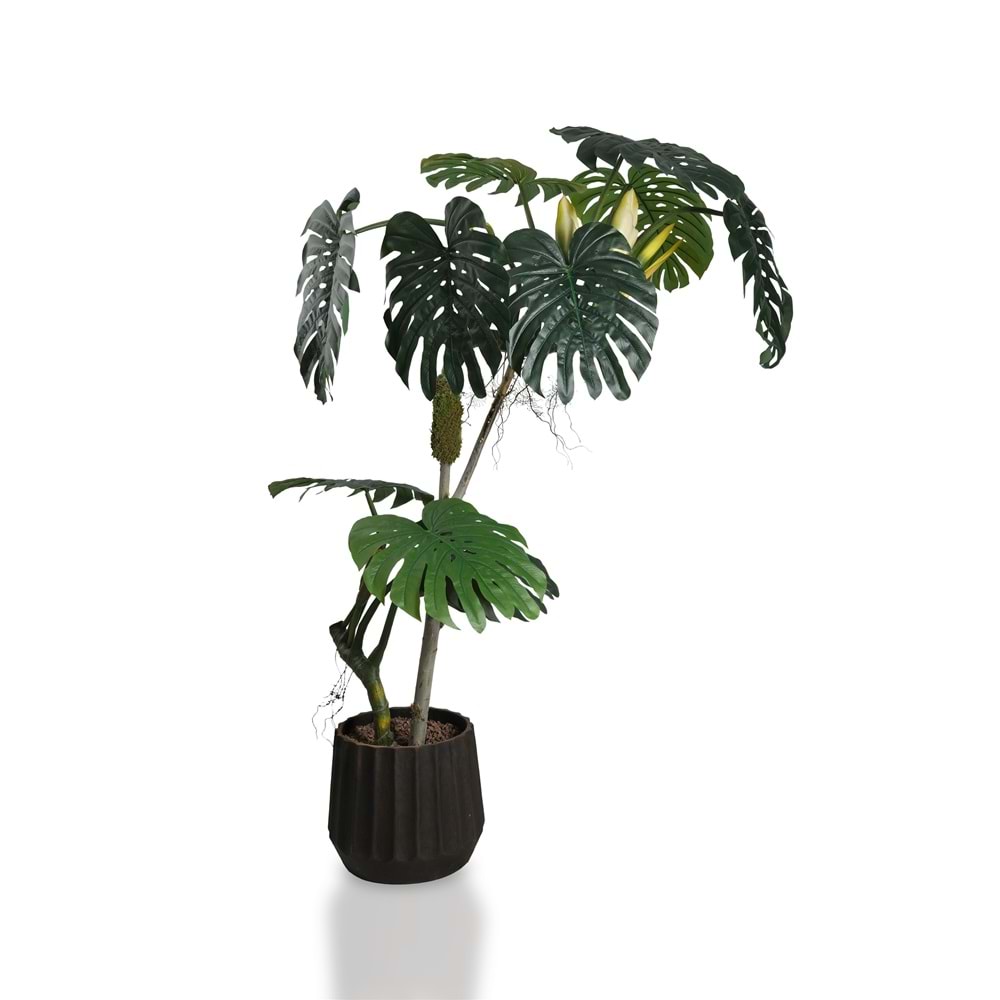 240 CM BÜYÜK DEVE TABANI