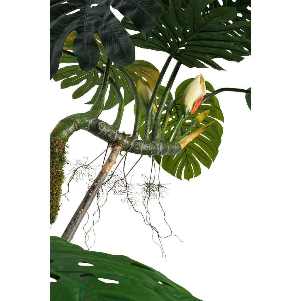 240 CM BÜYÜK DEVE TABANI