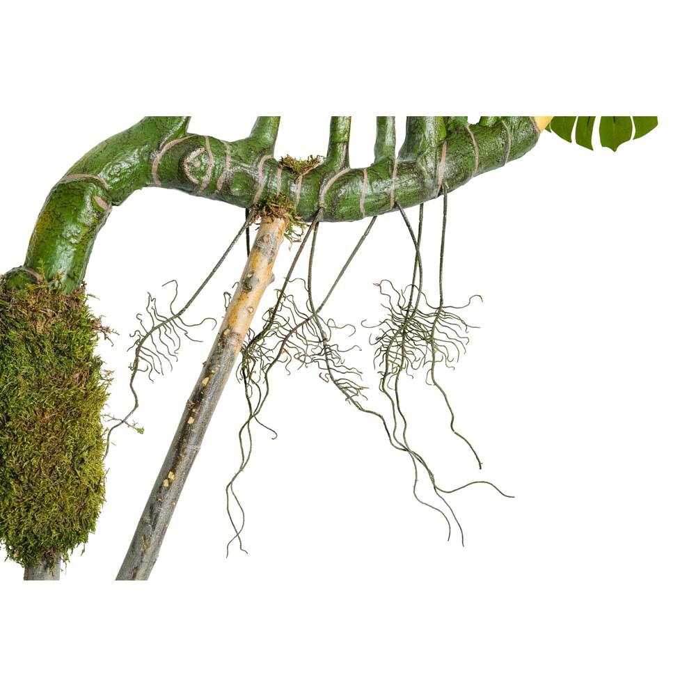 240 CM BÜYÜK DEVE TABANI