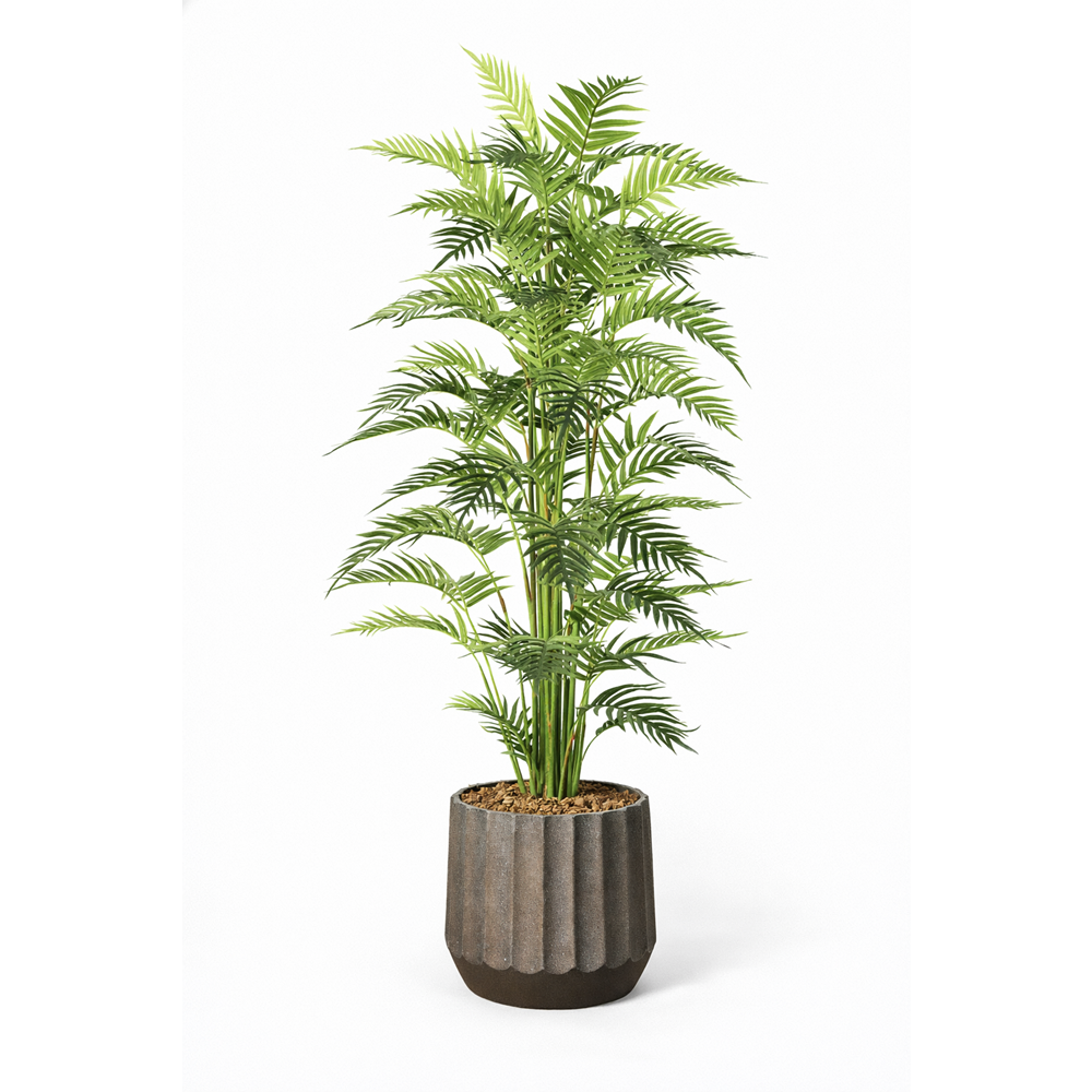 200 CM FERN PALM