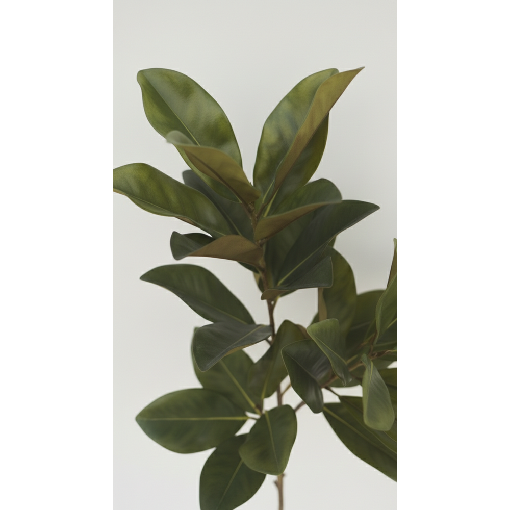 120 CM MANOLYA AĞACI