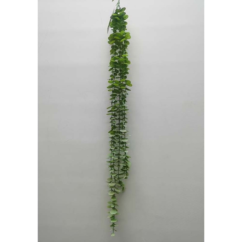 80CM OKALIPTUS SARMAŞIK