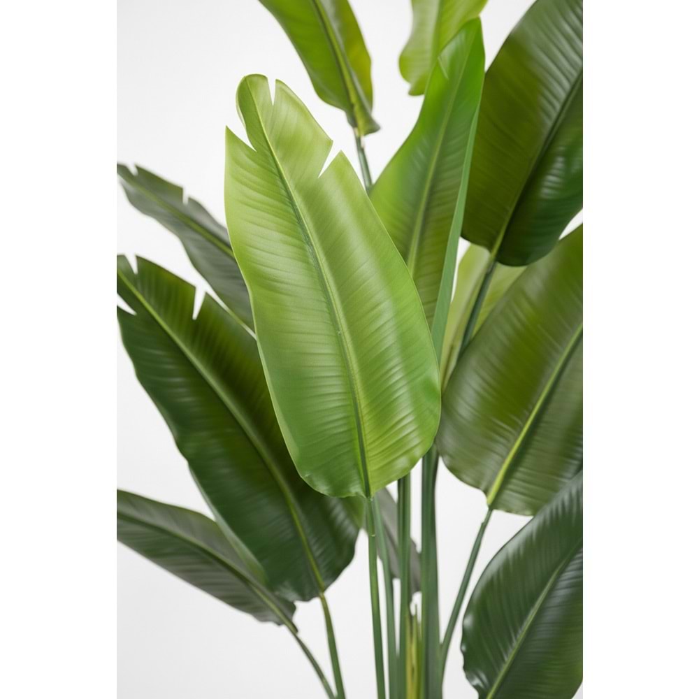 STARLİÇE REAL TOUCH 13 LVS