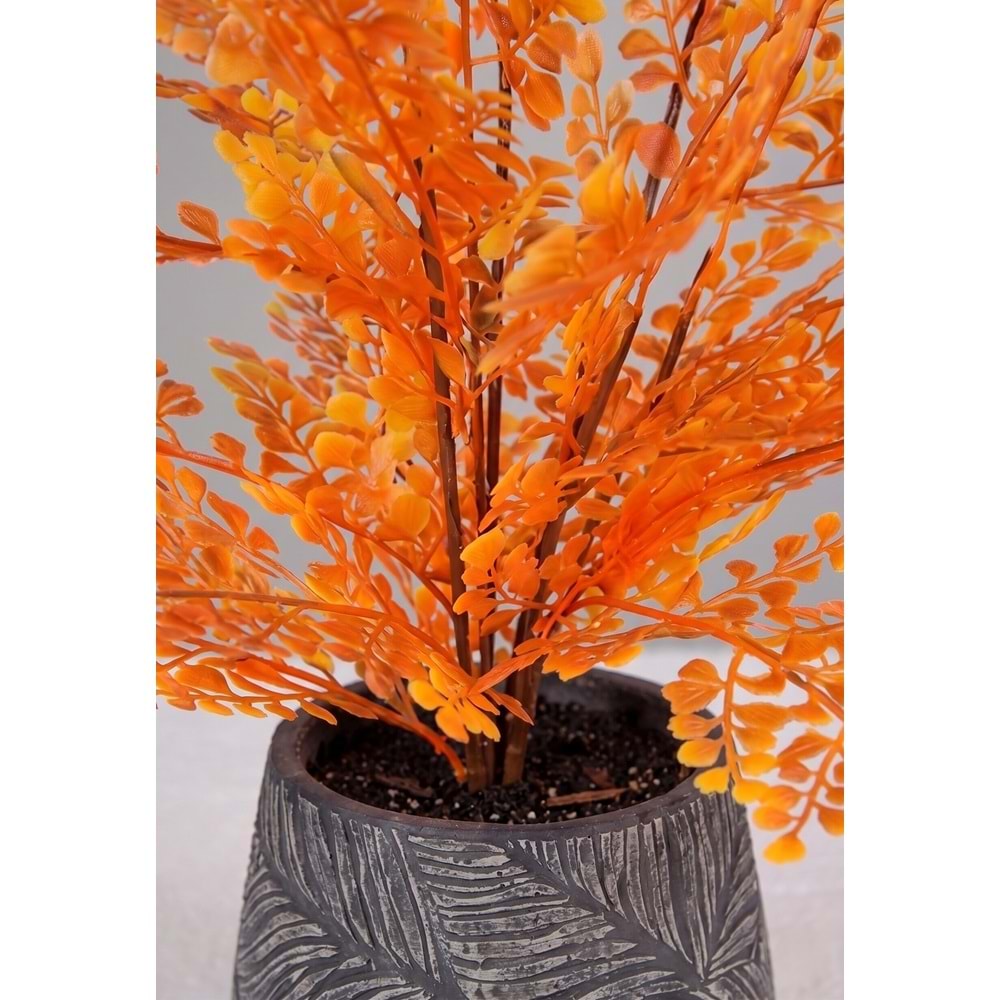 60 CM DEMET BİTKİ